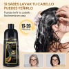 Kaisasa® Shampoo Con Tinte Cubre Canas Natural Jengibre 500ml-Negro