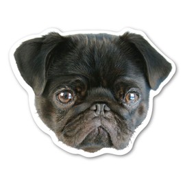 Magnet America (Black) Pug Dog Magnet is 4.75" x 4.875" Made for Vehicles and Refrigerators