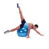 Gymnic Classic Plus Burst-Resistant Exercise Ball, Blue (65 cm)