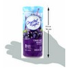 Crystal Light Crystal Lt Concrd Grape Drnk Mx 0.335Oz (6Pk)