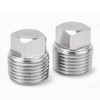 Goldpea 2PCS Stainless Steel 316 Pipe Plug Outer Solid Square
