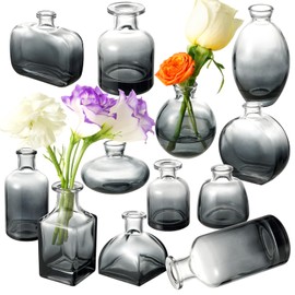 Bud Vases Set of 12, Black Clear Glass Bud Vases, Small Vases for Centerpiece Modern Flower Vases in Bulk, Mini Glass Vase for Wedding Centerpieces, Party Table Decor, Home Déco