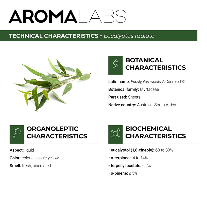 Organic Eucalyptus Radiata Essential Oil (30ml) - 100% Pure, Ecocert