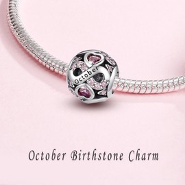 HappyStar 925 Sterling Silver Birthstone Charms fits Charms Bracelets for Woman，with 5A Cubic Zirconia Dangle Pendant Bead,Happy Birthday Charms for Bracelet and Necklace