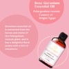 Rose Geranium Essential Oil 1 Oz