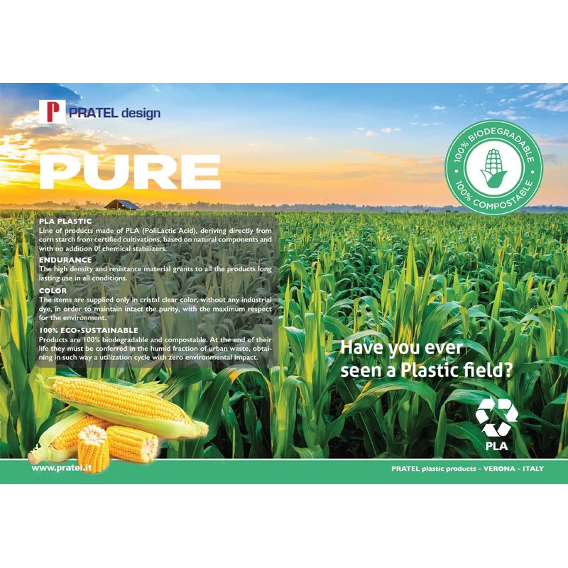 Set Square 16 cm 100% Compostable