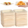 100 Pcs Disposable Square Wooden Plates, Appetizer Serving Dishes, Elegant