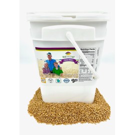 Durum Wheat Berries I Wheatland I 20lb Bucket I 25 Year Shelf Life I Tested Chemical Free I Non GMO I Kosher I Vegan I Mylar + 4 Gallon HDPE Bucket+ Oxygen Absorber I Farm Fresh Grown in the USA I Great for Pasta & Salads