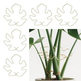 Azcom 5pcs Plant Stem Support,Support Frame for Outdoor & Indoor Plant Growth Stereotypes-Large