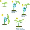 SHUOHONG Pack of 30 Plant Benders, 360° Adjustable Plant Clips,