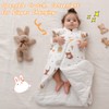 Fairy Baby Sleeping Bag 2.5 Tog Winter Long Sleeves Kid