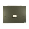 Ankush 13 Pockets Expanding File Folder with Handle - A4