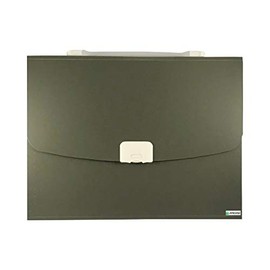 Ankush 13 Pockets Expanding File Folder with Handle - A4 Size Expandable File Organizer File Folder Wallet Briefcase Documents Filing Box (Black)