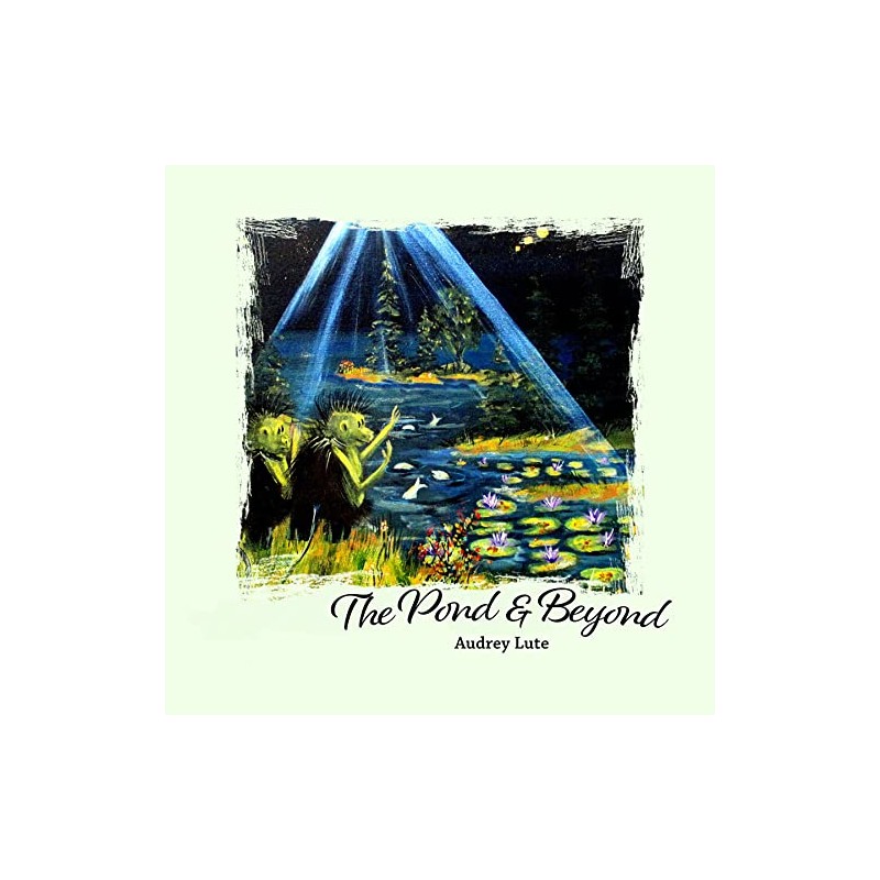 Pond and Beyond, The