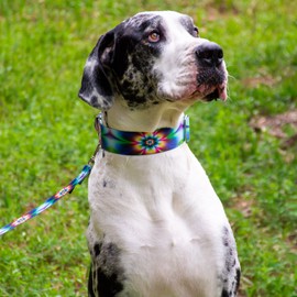 Country Brook Petz - Tie Dye Flowers Martingale Dog Collar and Leash - Groovy Collection Featuring Far Out Designs (1 Inch, Medium)