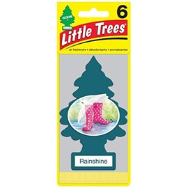 Little Tree Air Freshener 6pac [Rainshine] Value Set of 6! LittleTree Air Freshener, Rainshine, Set of 6