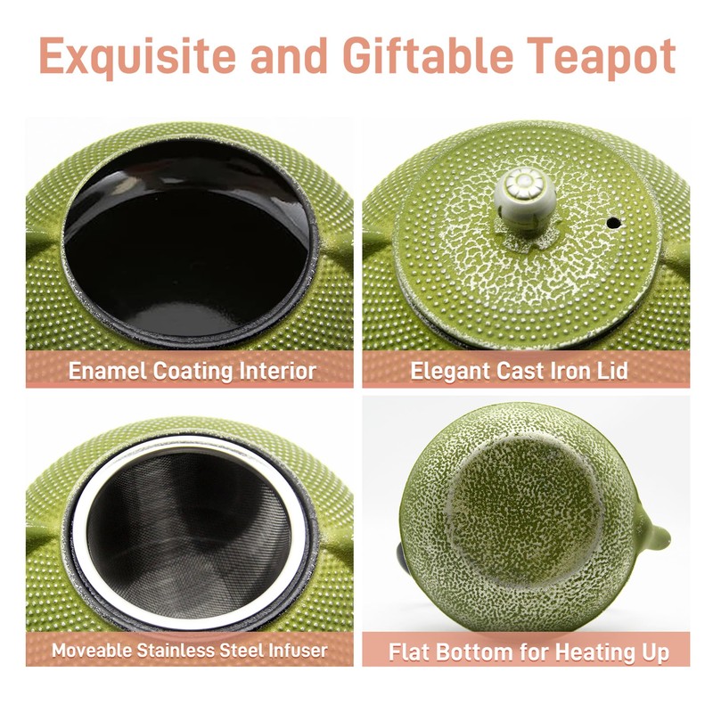 SECHUDO Cast Iron Teapot Tea Kettle with Stainless Steel Infuser