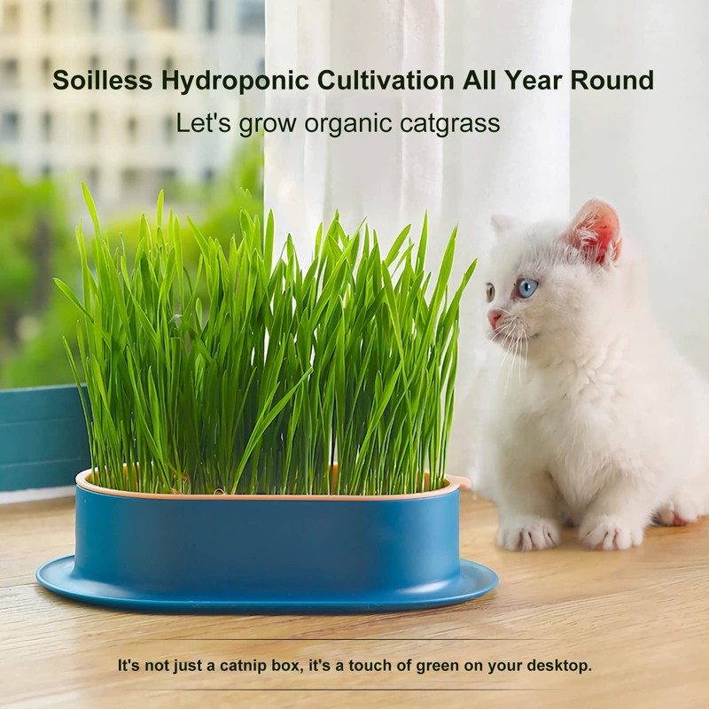 YUMINGUHC 2Pcs Cat Grass Planter (No Seeds Included) Wheatgrass Planting