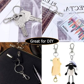 YEFAF Pack of 50 Key Ring Rings Small Twist Clasps and Key Rings 25 mm Key Ring Carabiner for Hanging Crafts Jewellery Making