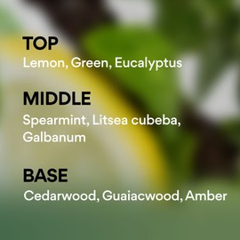 Innisfree [이니스프리]아일넘버 바디&핸드워시 씨즈더모먼트 [Innisfree] Island Number Body & Hand Wash Seize the Moment