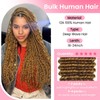 WOWANGEL Boho Braids Human Hair Extensions, Knotless Boho Braiding Hair