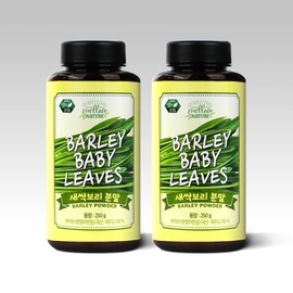 Mellow Nature Jeju sprout barley powder 250g each / 제주 새싹보리 분말 250g 2개