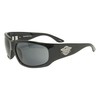 Black Flys Skater Fly Sunglasses