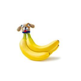 NANA HATS | Keep Bananas Fresher for Longer | As Seen on Shark Tank | Includes Standard Size BPA-Free Silicone Cap with Magnet | Dog