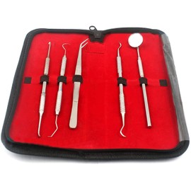 AA PRO Dentist Prepared Tools KIT | Dental Pick Dental Floss Gum Floss THREADERS TOOTHPICKS Dental Hygiene KIT Set Dental Instruments HIGH Grade A+ Quality