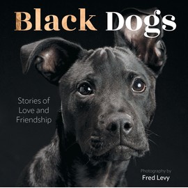 Black Dogs: Stories of Love and Friendship