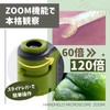Reimei Fujii Microscope Handheld Microscope ZOOM Green RXT1143M