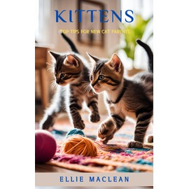  Kittens: Top tips for new cat parents