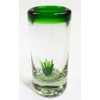 Eye4Art Mexican Tequila Shot Glasses, 4 Agave Cactus, Green Rim,