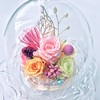 NEW 3 Diana Roses Preserved Flowers, Glass Dome Display, Purple