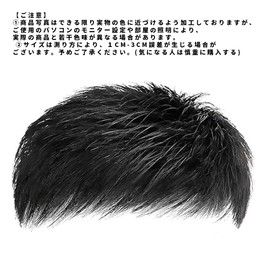 Men's Wig, Partial Wig, Men's Thorl, Top Wig, Synthetic Hair, Hair Toppiece, Men's, Point Wig, Bald Hide, Top Protection, Fully Hand-Planted, Natural, Breathable, Thin Hair, Top Cover, Gray Hides Wig, Natural Black, 7.1 x 7.9 inches (18 x 20 cm)