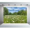 CORFOTO 5x3ft Fabric White Daisies Field Backdrop Daisy Flower Background