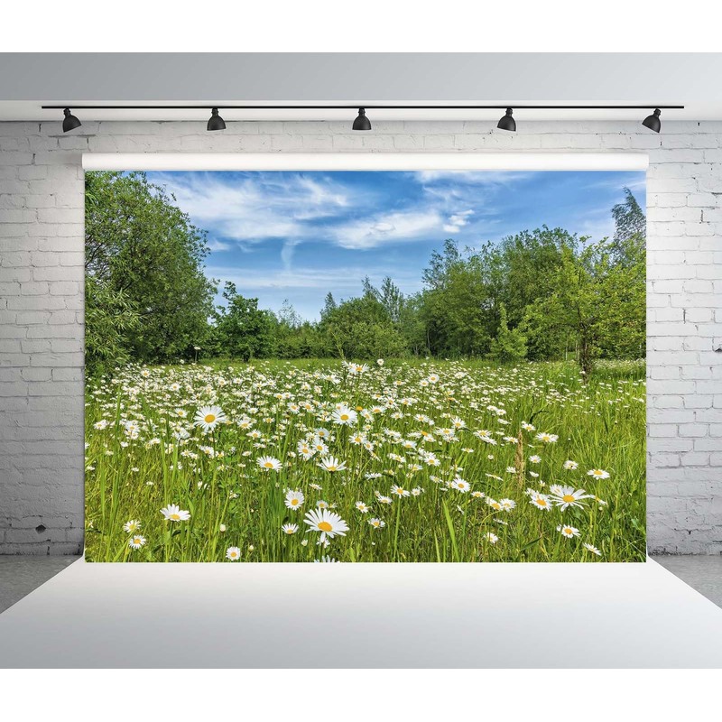 CORFOTO 5x3ft Fabric White Daisies Field Backdrop Daisy Flower Background