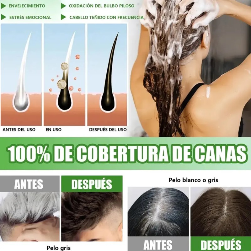 Shampoo Tinte Cubre Canas Marrón de MAGANIO, 500 mL