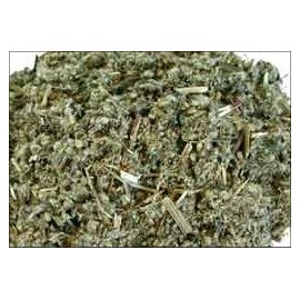 Herbs: Mugwort (Organic)