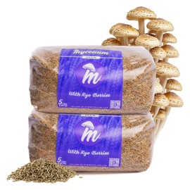 Mycelium Rye Berries Grain Spawn | 2-Pack (5 lb Each) | Pre-Sterilized Mushroom Substrate with Self-Healing Injection Ports | 10 lb Bulk Supply for High-Yield Cultivation | Easy & Ready to Use