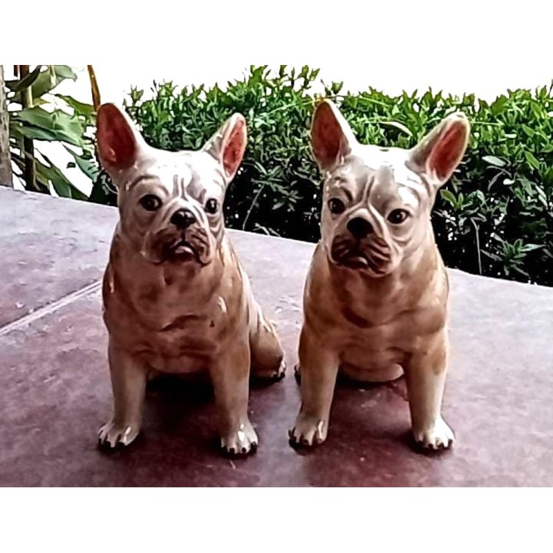 Ceramic Salt and Pepper Shaker Set with Dog Motif (French