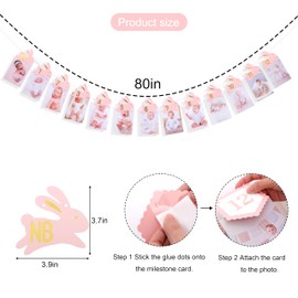 Agkvw Bunny 1st Birthday Monthly Milestone Photo Banner - Some Bunny Is One Newbron to 12 Months Photo Banner for Grils, Easter 1st Birthday Decorations, Rabbit Theme First Year Monthly Photo Display