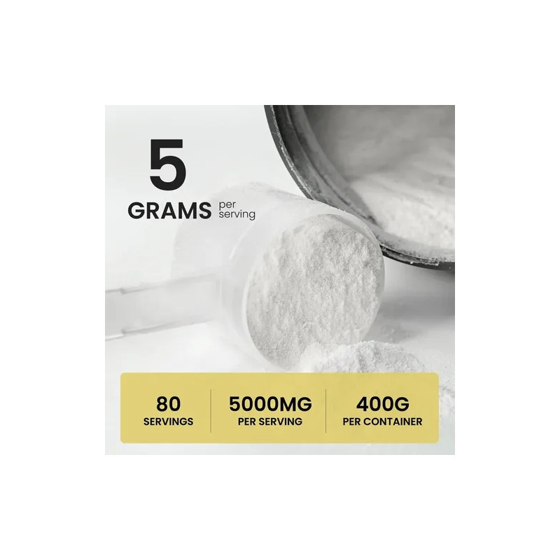 Upnourish Creatine Monohydrate Micronized - Vegano Sin Sabor