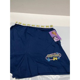 Winners Circle Jeff Gordon Nascar Winners Circle Women's Blue Shorts Size Medium (7/9)