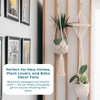 Nook Theory 4-Pack Macrame Plant Hangers with 8 Hooks -
