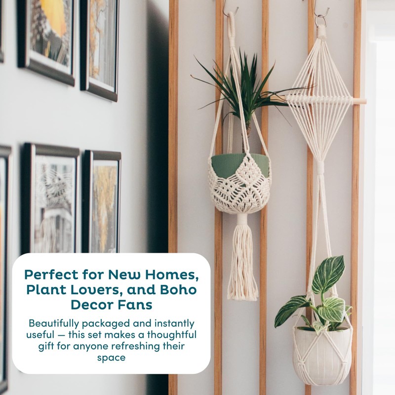 Nook Theory 4-Pack Macrame Plant Hangers with 8 Hooks -