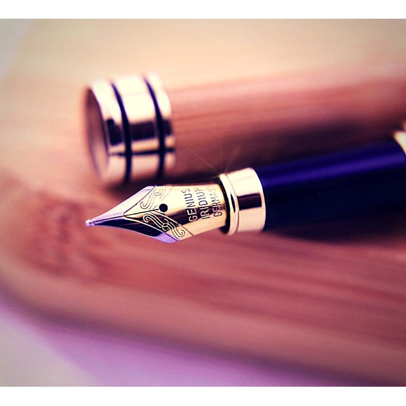 Dryden Designs Luxury Bamboo Fountain Pen with Ink Refill Converter