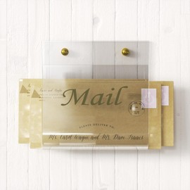 Cociat Acrylic Mail Holder for Wall Clear Hanging 6.6 X 2.2 Inch Mail Organizer Wall Mounted File Holder