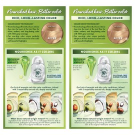 Garnier Hair Color Nutrisse Nourishing Creme, 93 Light Golden Blonde (Honey Butter) Permanent Hair Dye, 2 Count (Packaging May Vary)