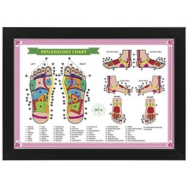AllStarMedia Foot Reflexology Chart, Reflex Zones - Human Body Anatomical System, Educational Medical Posters, Wall Photo Display Aid for Professionals Practitioners (Unframed, A3)